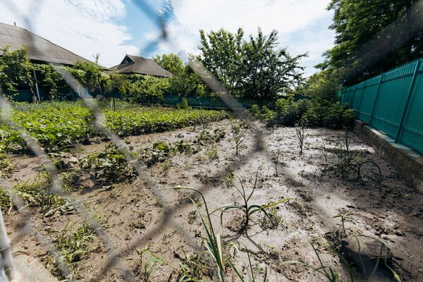 Местные жители переживают за урожай, ведь многое, что они посадили на огородах оказалось уничтоженным из-за дождей. - Sputnik Молдова