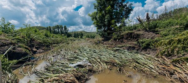 Urmările ploilor torențiale și inundațiilor în raionul Ialoveni. - Sputnik Moldova