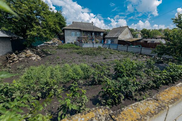 Culturile au fost distruse în proporție de 80 la sută în satul Hansca, Ialoveni  - Sputnik Moldova