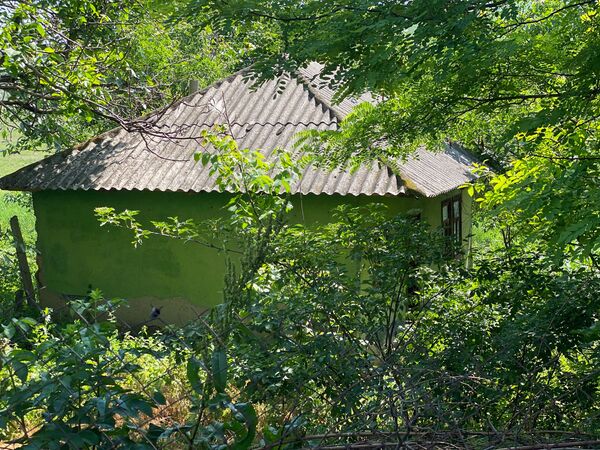 O altă casă abandonată din sat - Buruienile au crescut mai mari decât locuința - Sputnik Moldova