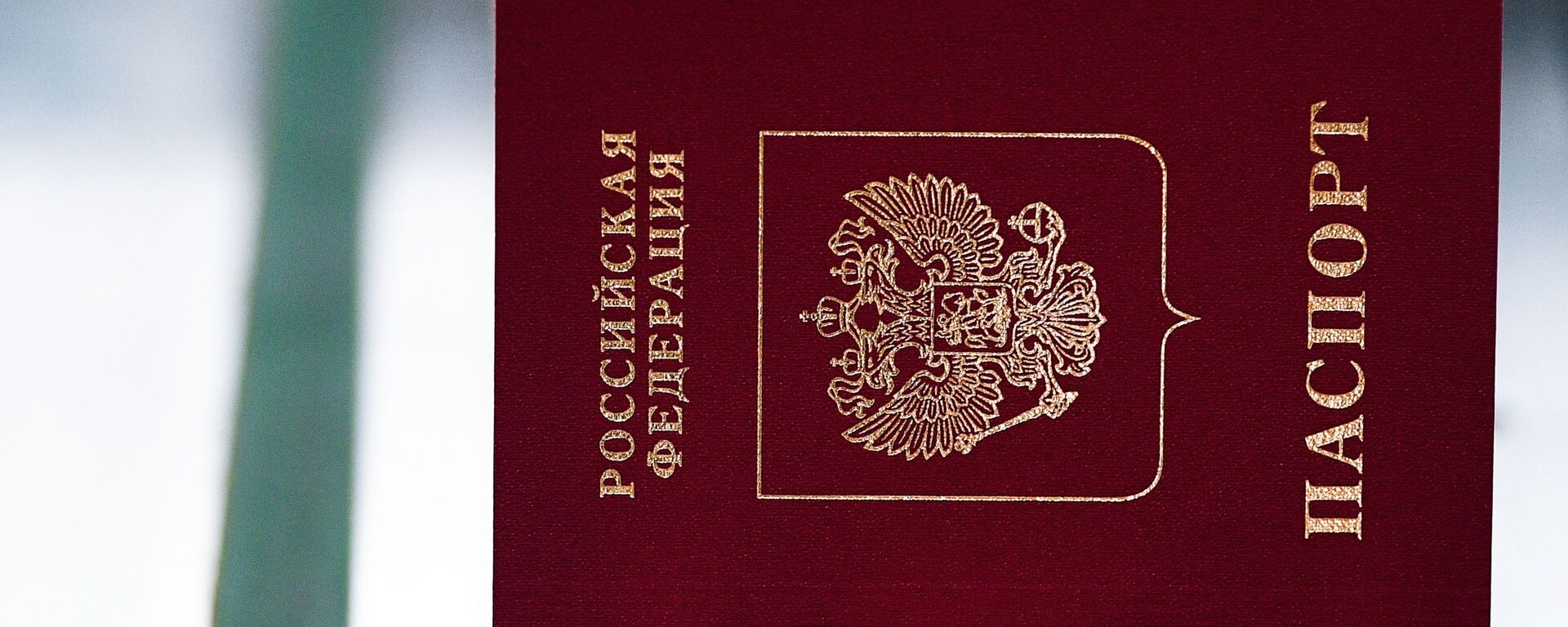 Паспорт РФ - Sputnik Молдова, 1920, 11.08.2022