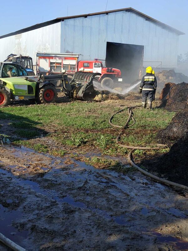 Foto - Incendiu la o fermă de vaci din Cahul: Iată ce au distrus flăcările Foto - Incendiu la o fermă de vaci din Cahul: Iată ce au distrus flăcările - Sputnik Moldova