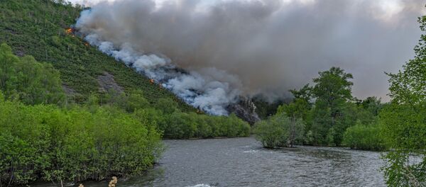 Лесные пожары на Камчатке Лесные пожары на Камчатке - Sputnik Moldova-România