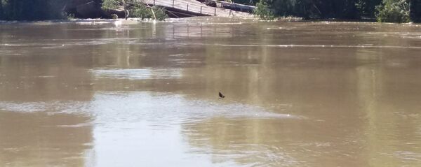 Debarcaderul purtat de apele Nistrului Debarcaderul purtat de apele Nistrului - Sputnik Молдова