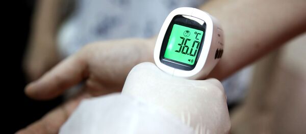 Голосование по внесению поправок в Конституцию РФ в городах России - Sputnik Молдова