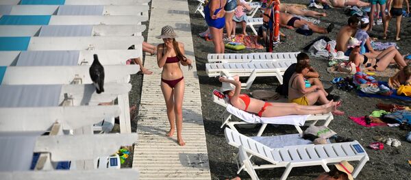 Отдыхающие на пляже Цирк в Сочи - Sputnik Moldova