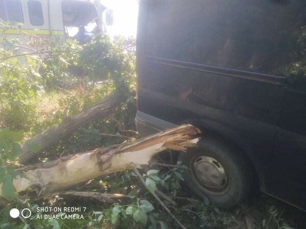 Accident teribil la Soroca: Șoferul a murit pe loc, doi oameni au ajuns la spital - Foto Accident teribil la Soroca: Șoferul a murit pe loc, doi oameni au ajuns la spital - Foto - Sputnik Moldova