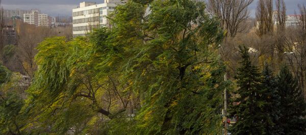 vînt - Sputnik Moldova