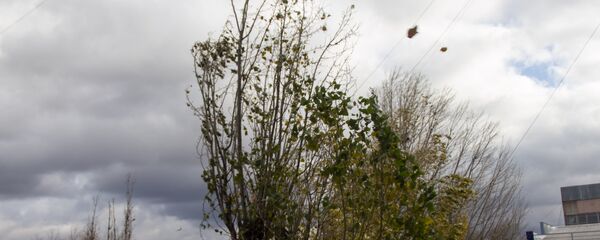 vînt - Sputnik Moldova