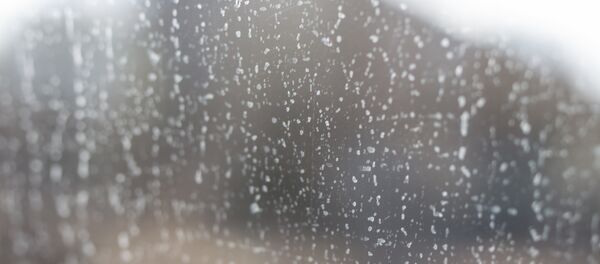 picaturi de ploaie pe geam - Sputnik Молдова