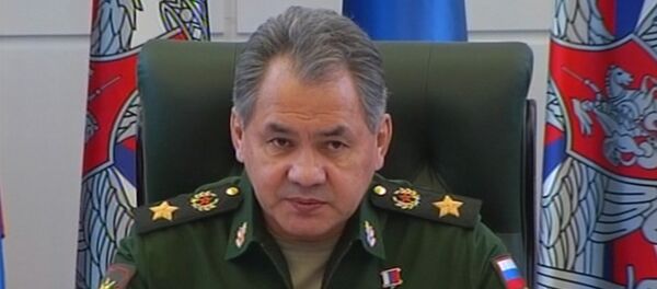 СПУТНИК_Шойгу раскрыл детали операции по спасению штурмана сбитого в Сирии Су-24 СПУТНИК_Шойгу раскрыл детали операции по спасению штурмана сбитого в Сирии Су-24 - Sputnik Молдова