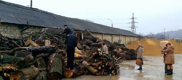 Lemne de foc repartizate nevoiaşilor de către primăria Orhei - Sputnik Moldova