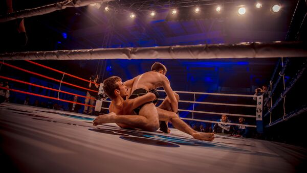 На ринге - два спортсмена. Архивное фото - Sputnik Молдова