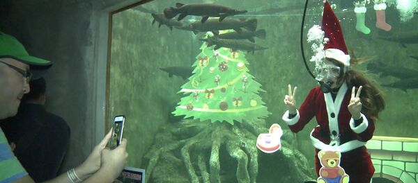 СПУТНИК_Аквалангистка в костюме Санта-Клауса плавала в аквариуме среди рыб в Мексике СПУТНИК_Аквалангистка в костюме Санта-Клауса плавала в аквариуме среди рыб в Мексике - Sputnik Молдова