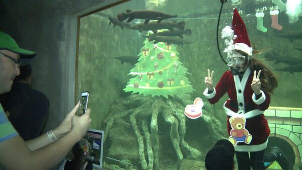 СПУТНИК_Аквалангистка в костюме Санта-Клауса плавала в аквариуме среди рыб в Мексике - Sputnik Молдова