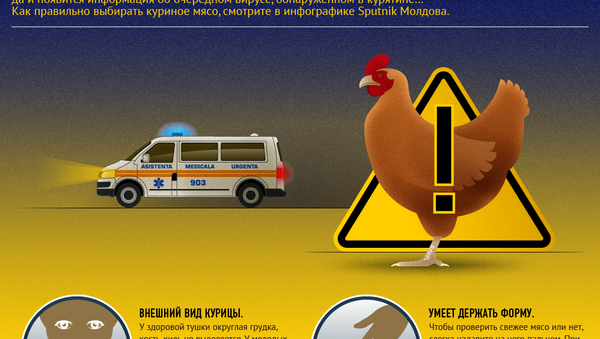Осторожно с курицей! - Sputnik Молдова