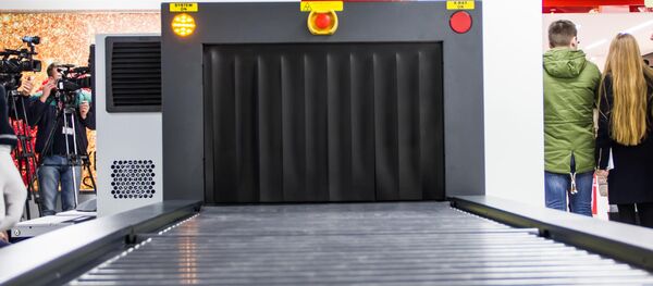 Control Vamal aeroport Control Vamal aeroport - Sputnik Moldova