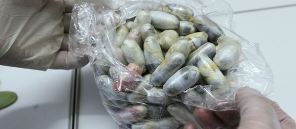 Работа экспертного центра Управления на транспорте МВД по ЦФО - Sputnik Moldova