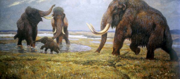 Диорама Мамонты гуляют Диорама Мамонты гуляют - Sputnik Молдова