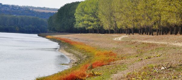 Днестр - Sputnik Moldova