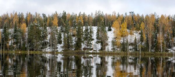 Регионы России. Карелия - Sputnik Moldova