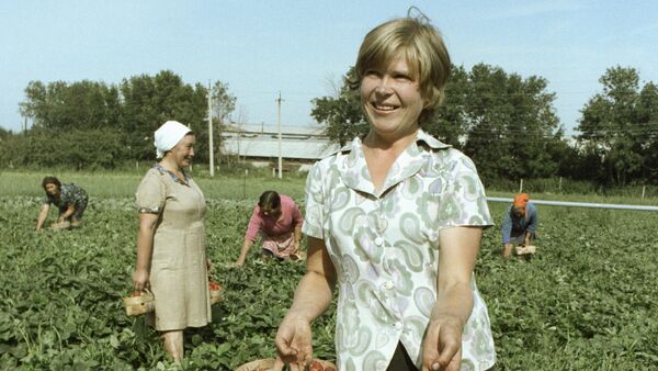 Женщина демонстрирует собранный урожай клубники - Sputnik Moldova