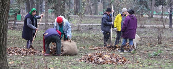 Уборка листьев - Sputnik Moldova