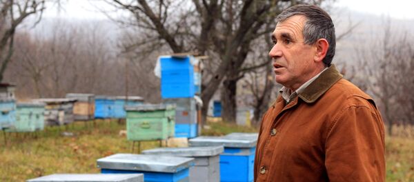Пчеловод из Калараша Георгий Скрипник - Sputnik Молдова