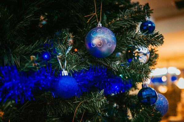 Запахло праздником: в Кишиневе началась елочная торговля - Sputnik Молдова