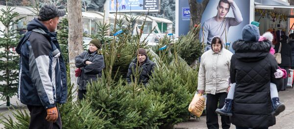 Елочный базар - Sputnik Moldova