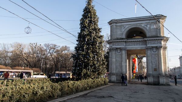 елка новый год brad revelion - Sputnik Молдова