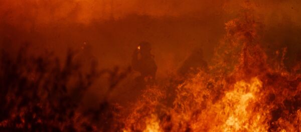 Природные пожары - Sputnik Moldova