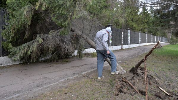 Последствия урагана. Архивное фото - Sputnik Молдова