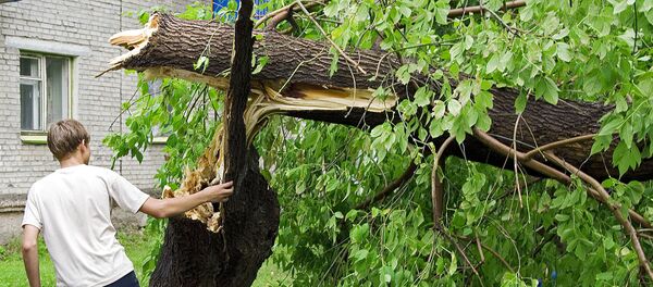 Последствия ураганного ветра Последствия ураганного ветра - Sputnik Молдова