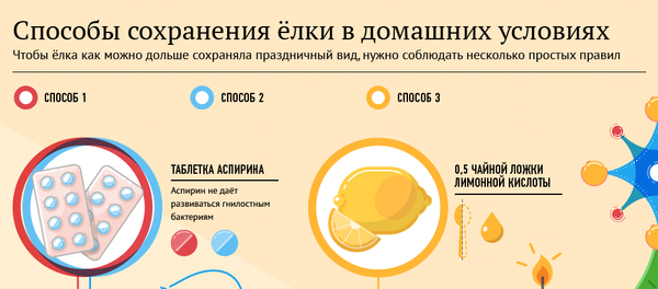 Как сохранить новогоднюю елку дольше - Sputnik Молдова