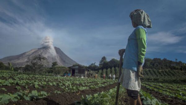 Индонезийский фермер в районе Каро смотрит на дым и пепел извергающего вулкана Синабунг - Sputnik Молдова