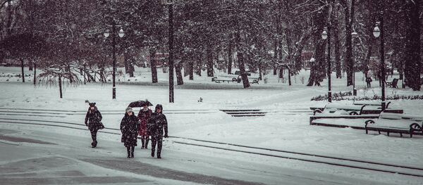 Iarna - Imagine Simbol - Sputnik Moldova