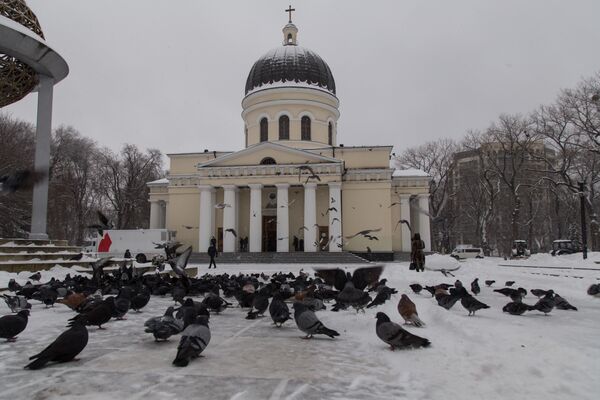 Чудотворную икону доставят в Кишинев 14 февраля: история, детали и молитвы Чудотворную икону доставят в Кишинев 14 февраля: история, детали и молитвы - Sputnik Молдова