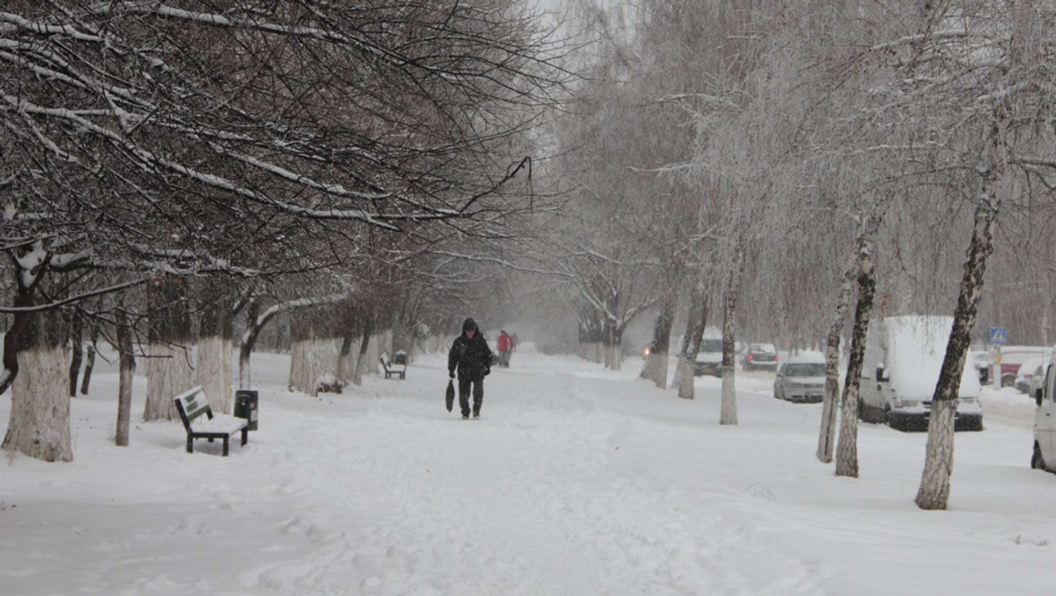 снегопад в молдове. снег в молдове. молдавия зимой. снегопад в молдове. снег в молдавии.