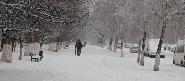 Зима - Sputnik Moldova