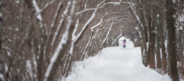 IARNA. зима, повседневная жизнь - Sputnik Moldova