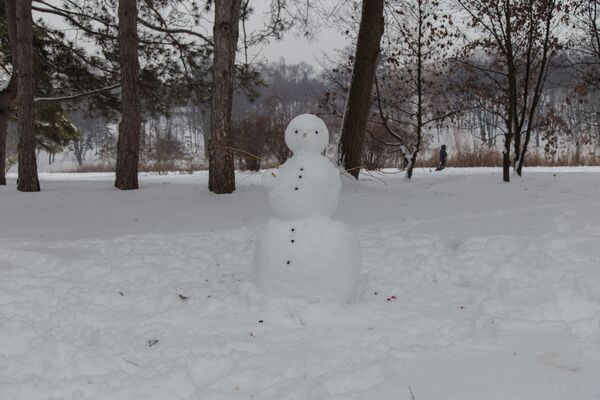 Cineva a reușit deja să facă un Om de Zăpadă. - Sputnik Moldova