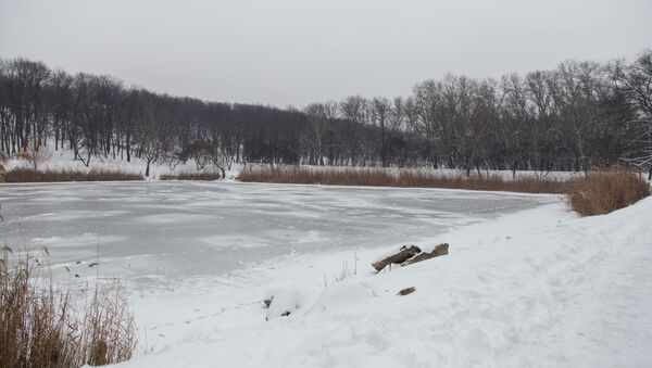 Зима природа пруд Iarnă natură lac - Sputnik Moldova