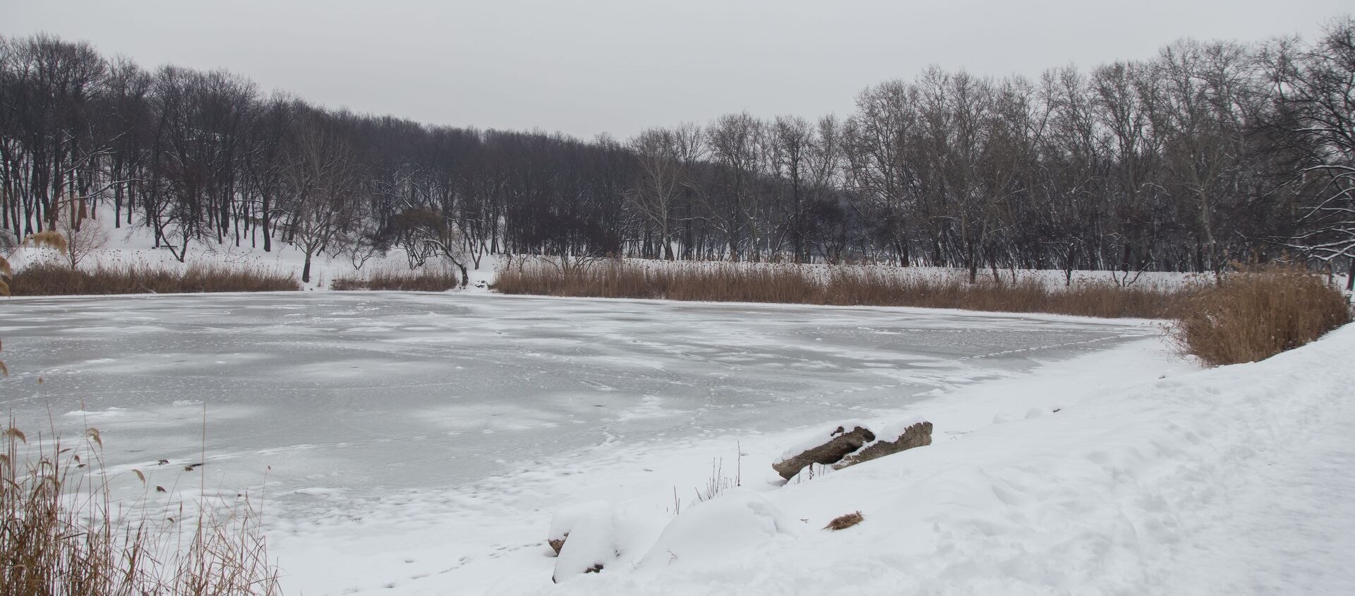 Зима природа пруд Iarnă natură lac - Sputnik Moldova, 1920, 25.02.2021