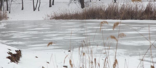 Такой лед крепок только с виду, ходить по нему опасно. - Sputnik Молдова