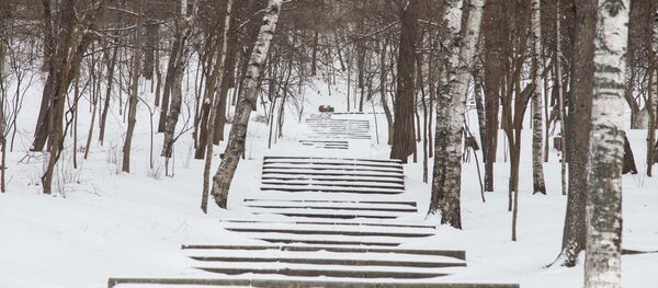 Зима - Sputnik Moldova