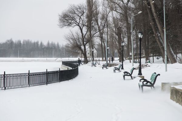 Asupra lacului înghețat a pogorât o liniște absolută. - Sputnik Moldova