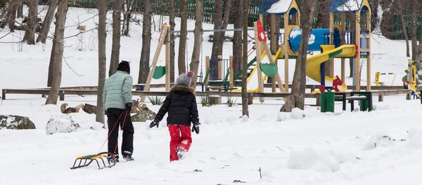 Хотя, нет: кто-то решил развлечься в холода. - Sputnik Moldova