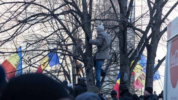 Протест 21.01.2016 Proteste 21.01.2016 - Sputnik Молдова