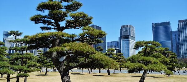 Города мира. Токио - Sputnik Молдова